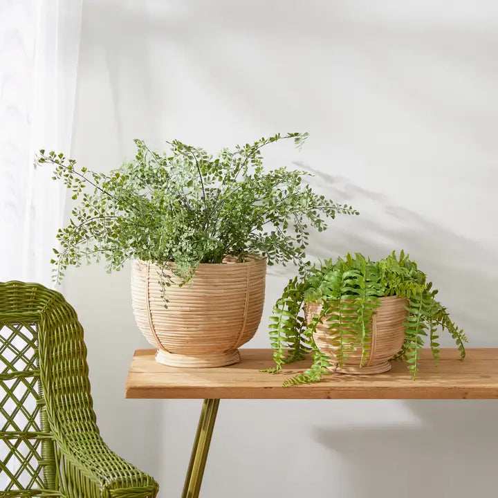 Cane Rattan Footed Bowl - Large