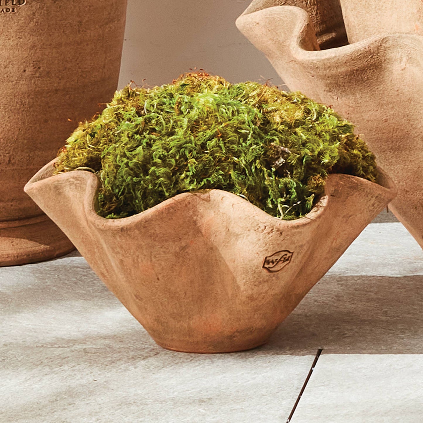 Small Wiley Pot, Tan