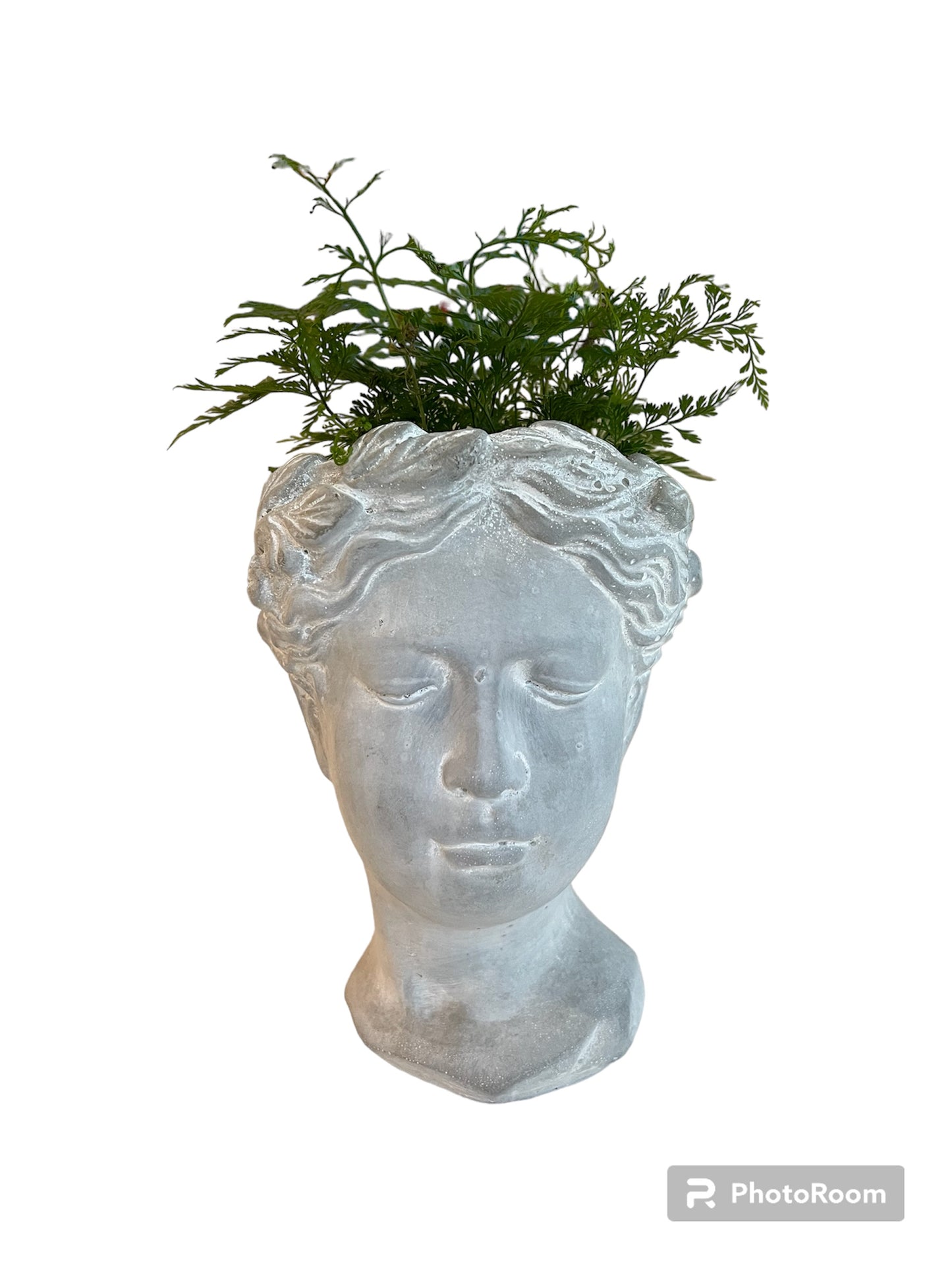 lady head plant pot Lady Head Planter or Vase – Petite Potting